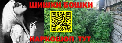 спиды Новодвинск
