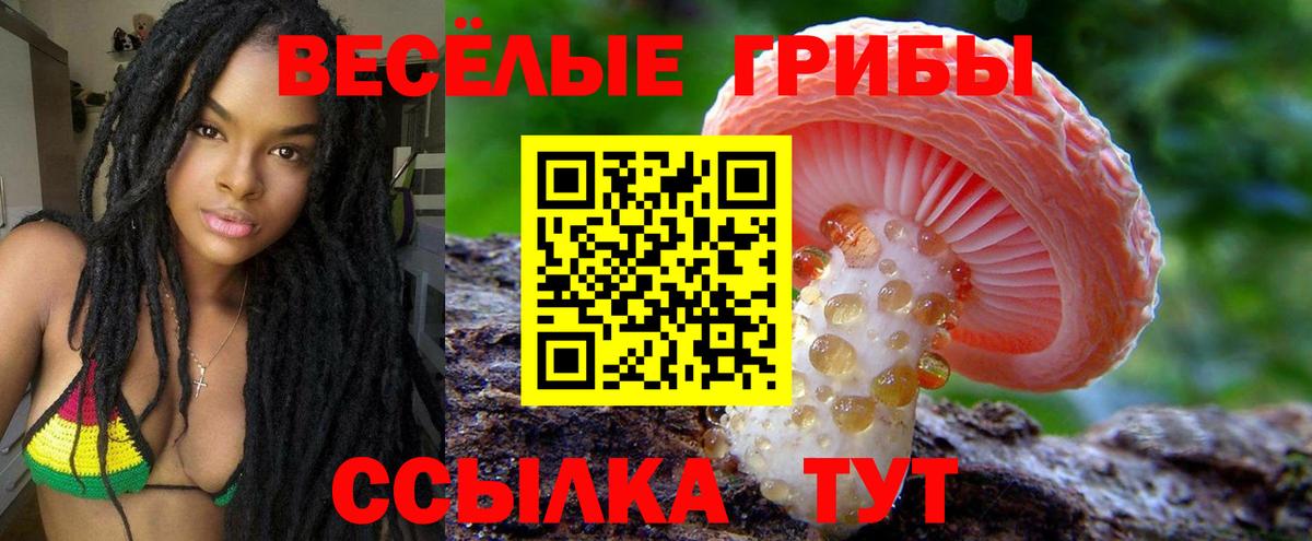 Амфетамин Заинск