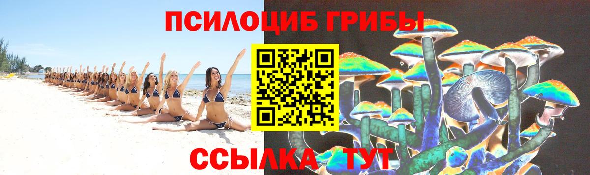 Псилоцибиновые грибы ЛСД Заинск